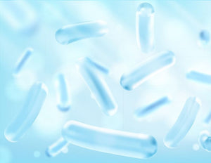 Bacillus Ferment