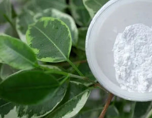 Zinc Oxide