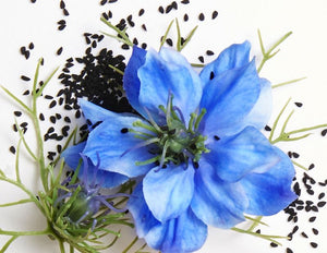 Black Cumin Seed Oil